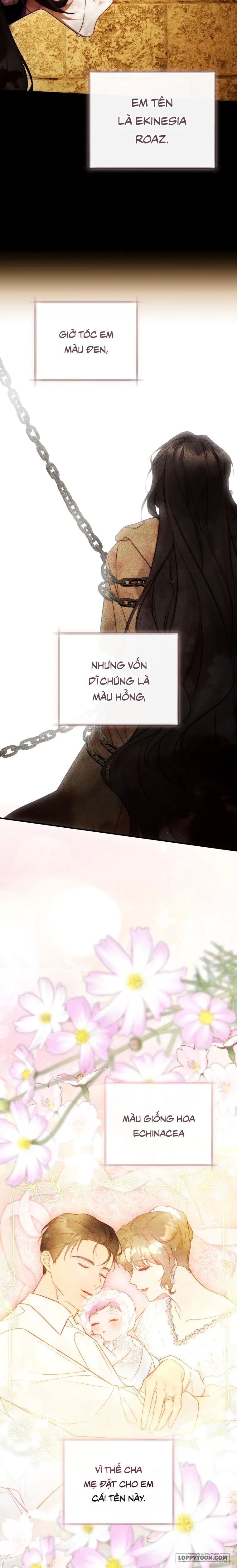 Đóa Hoa Cầm Kiếm - Chap 34 - Trang 15