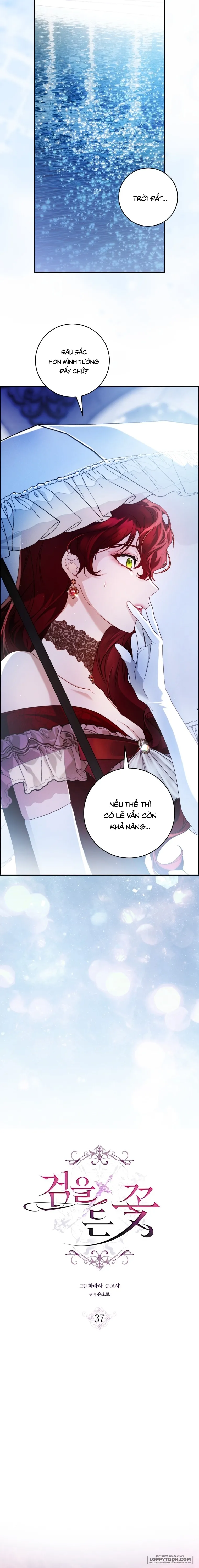 Đóa Hoa Cầm Kiếm - Chap 37 - Trang 5