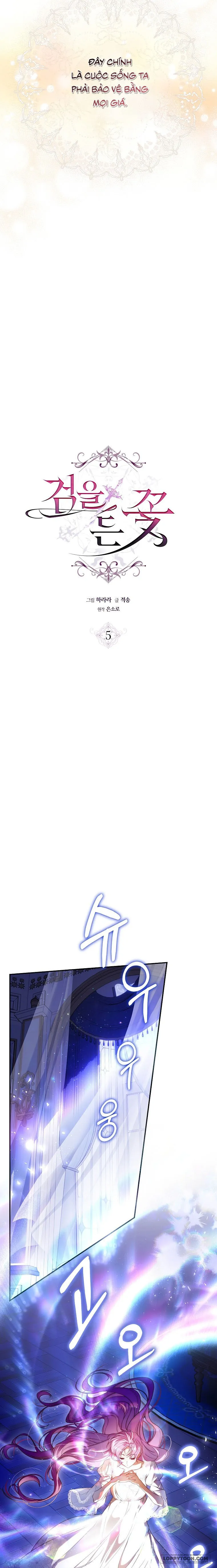 Đóa Hoa Cầm Kiếm - Chap 5 - Trang 7