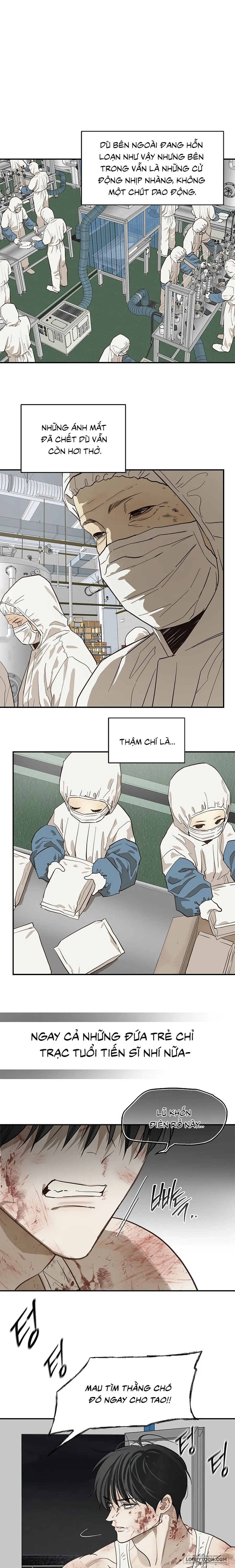 Đóa Hoa Là Mồi Nhử - Chap 43 - Trang 13