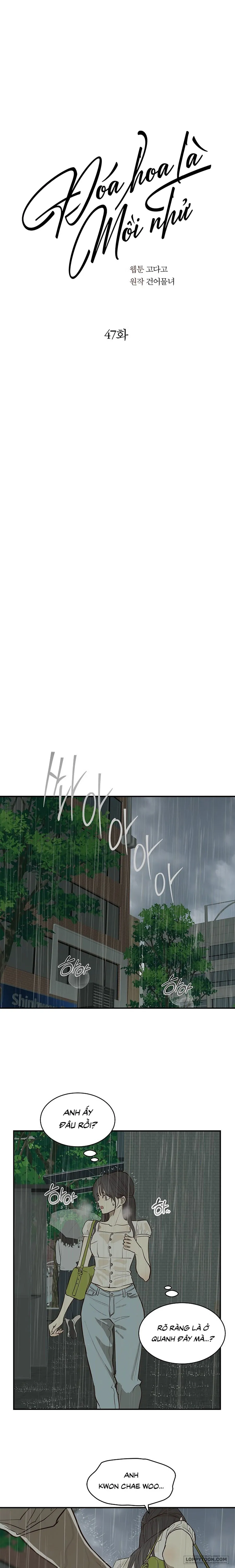 Đóa Hoa Là Mồi Nhử - Chap 47 - Trang 1