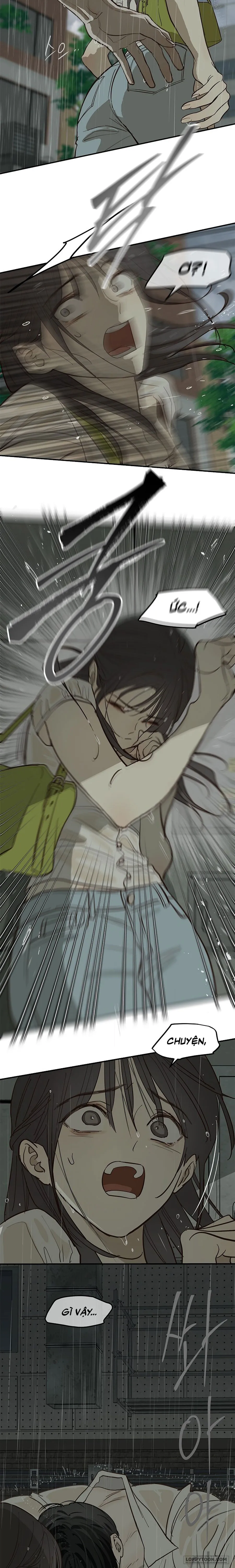 Đóa Hoa Là Mồi Nhử - Chap 47 - Trang 2