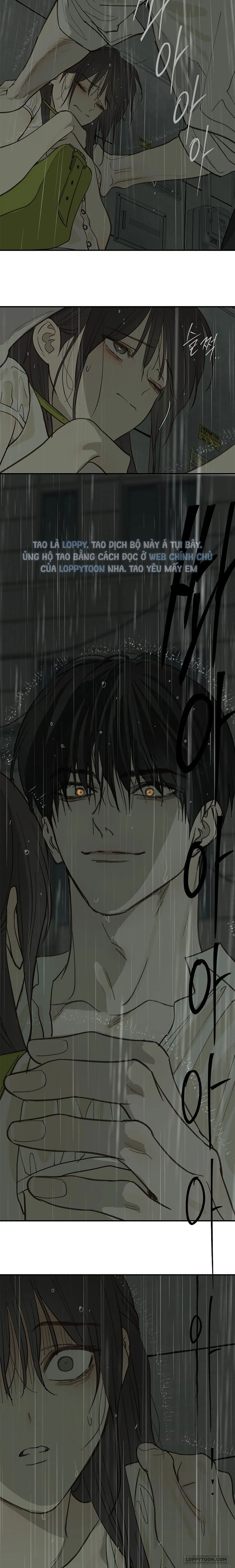 Đóa Hoa Là Mồi Nhử - Chap 47 - Trang 13