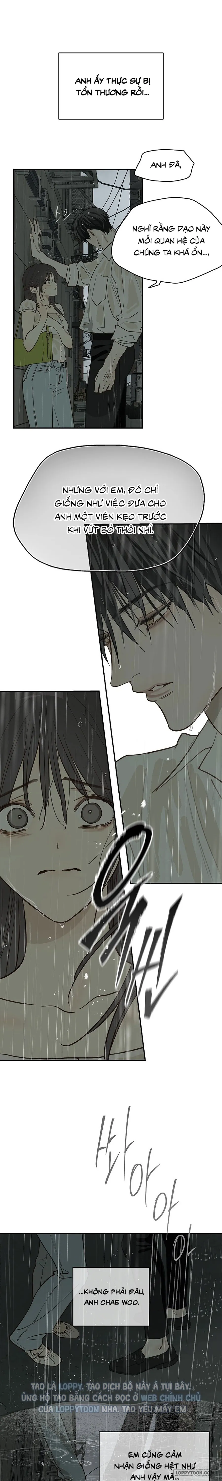 Đóa Hoa Là Mồi Nhử - Chap 47 - Trang 5