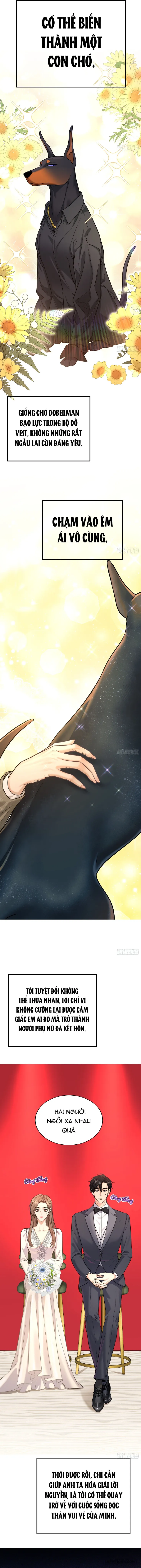 Gã Đàn Ông Này Đúng Là Cẩu Nam Nhân - Chap 0 - Trang 2