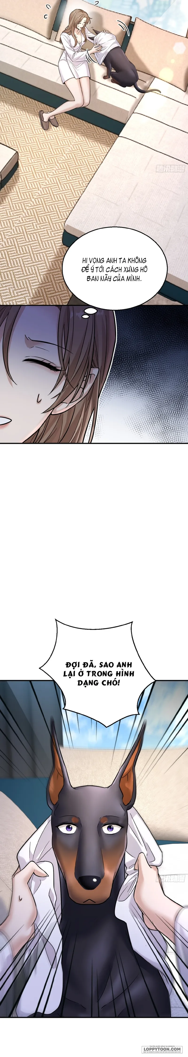 Gã Đàn Ông Này Đúng Là Cẩu Nam Nhân - Chap 6 - Trang 13