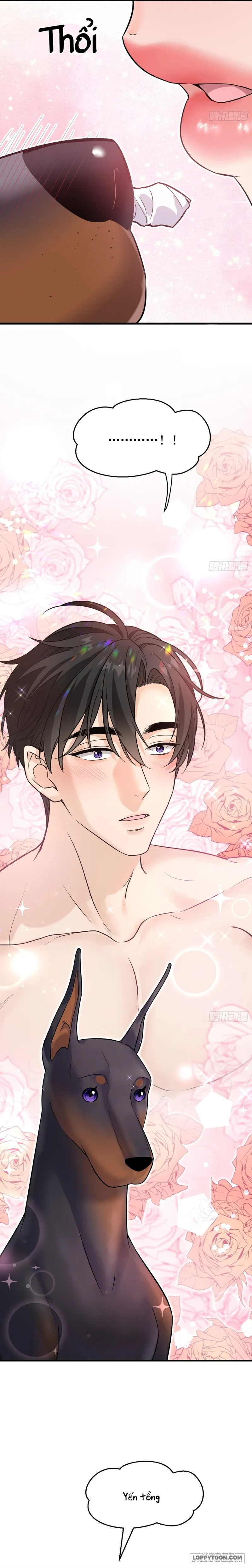 Gã Đàn Ông Này Đúng Là Cẩu Nam Nhân - Chap 6 - Trang 20