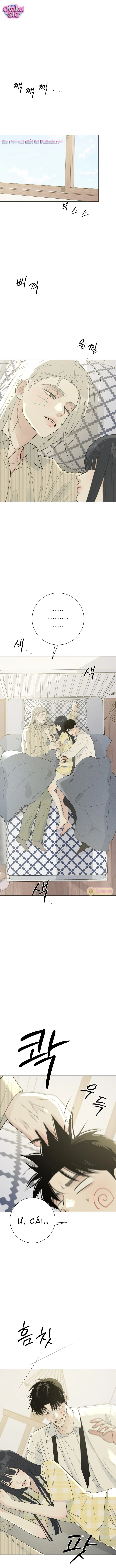 Hashtag tình đầu - Chap 17 - Trang 1