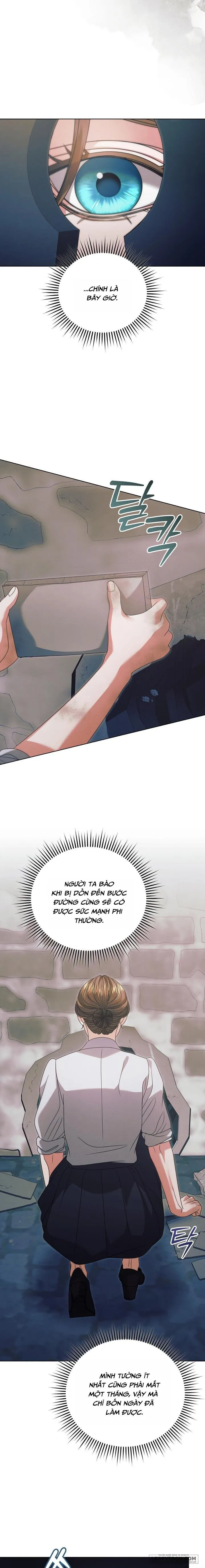 Hãy Cầu Xin Tôi Đi - Chap 49 - Trang 12