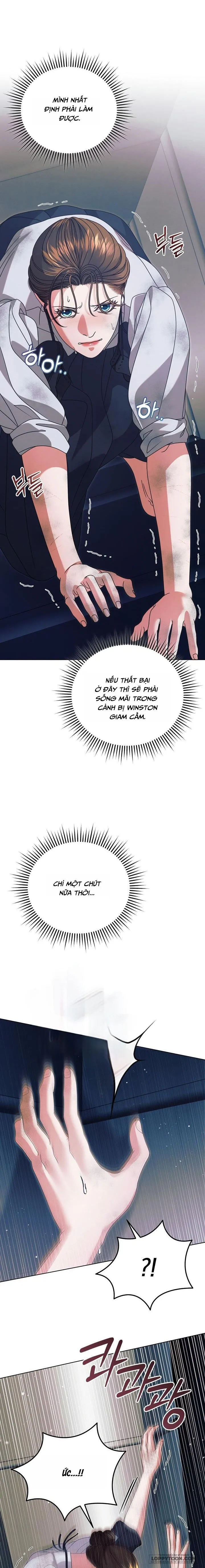 Hãy Cầu Xin Tôi Đi - Chap 49 - Trang 17