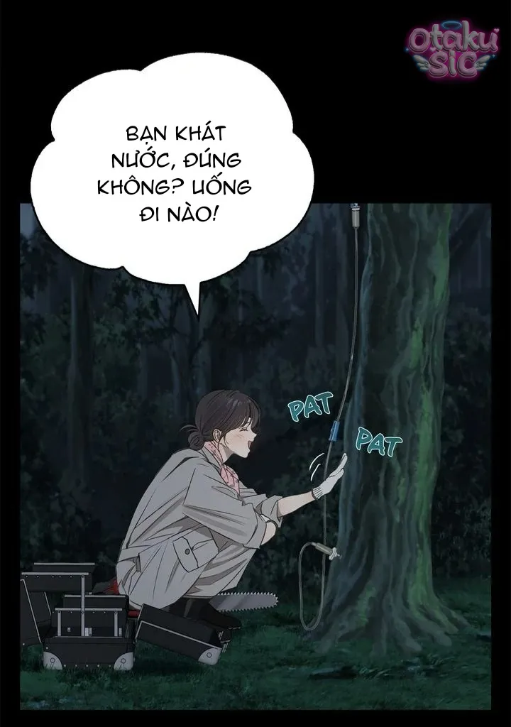 Hoa Là Mồi Nhử - Chap 1 - Trang 12