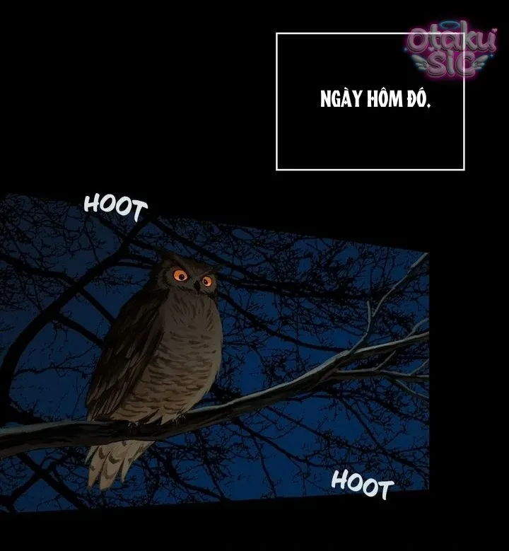 Hoa Là Mồi Nhử - Chap 1 - Trang 15