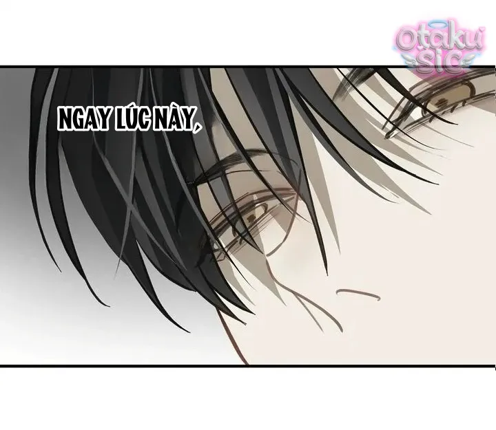 Hoa Là Mồi Nhử - Chap 13 - Trang 40