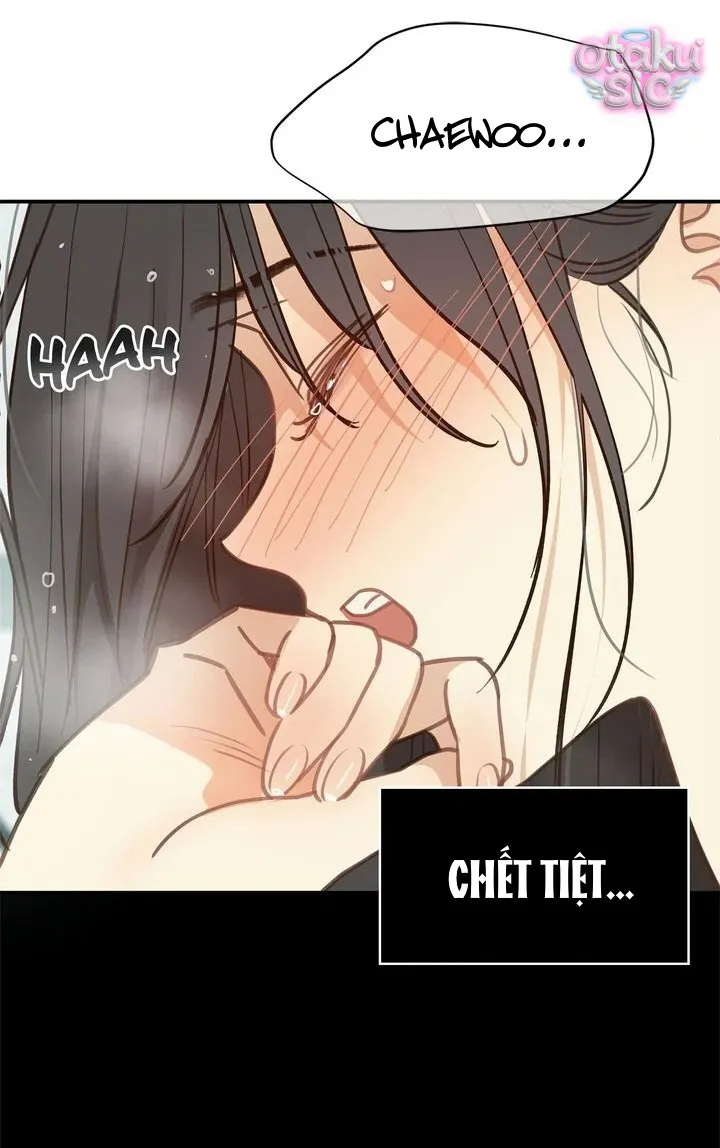 Hoa Là Mồi Nhử - Chap 13 - Trang 46