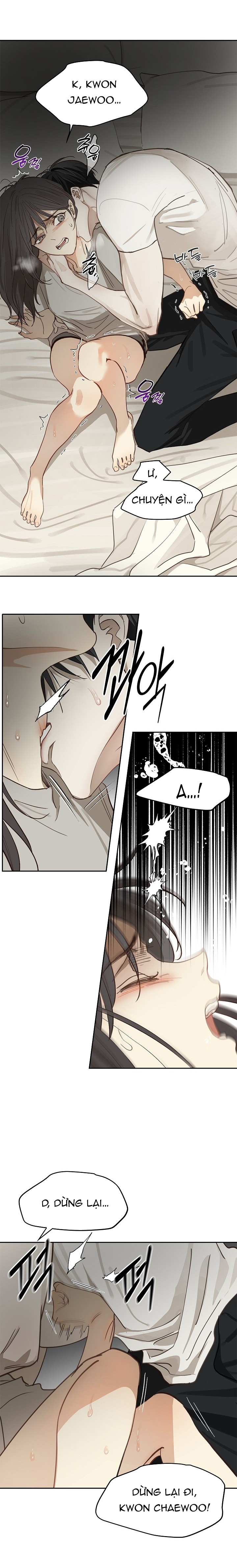 Hoa Là Mồi Nhử - Chap 14 - Trang 15