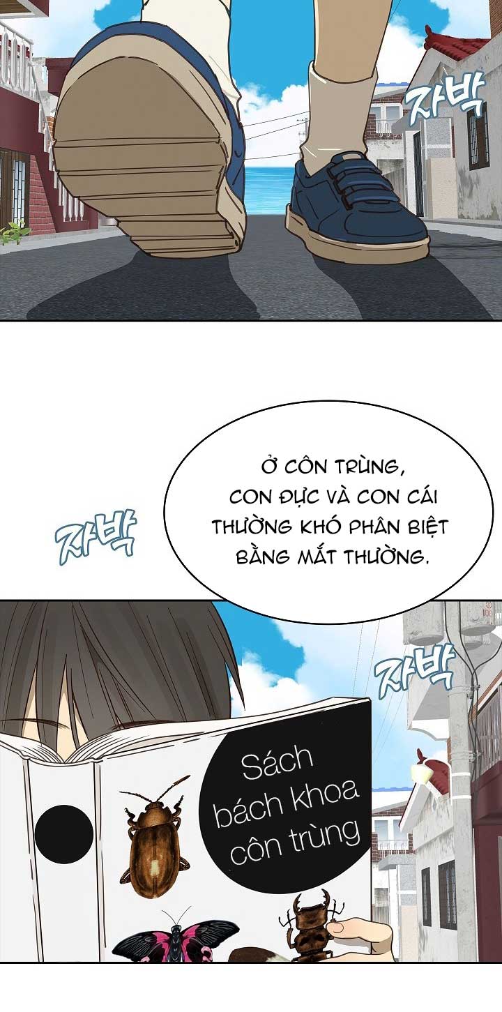 Hoa Là Mồi Nhử - Chap 15 - Trang 14