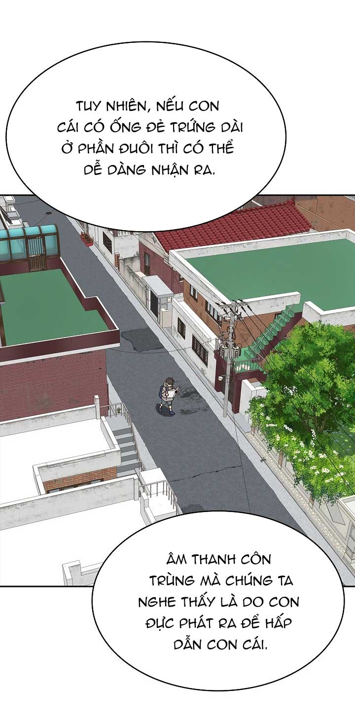 Hoa Là Mồi Nhử - Chap 15 - Trang 15