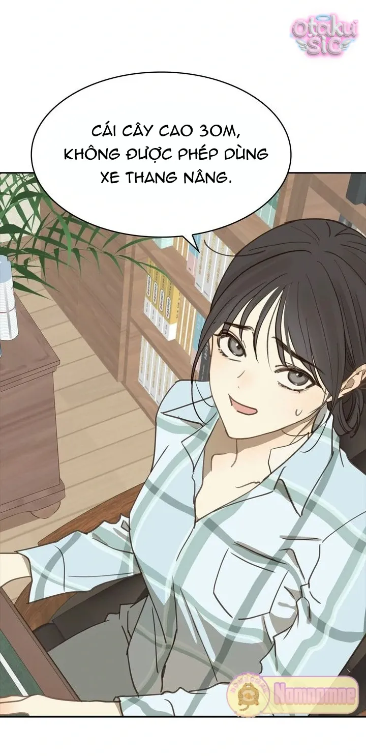 Hoa Là Mồi Nhử - Chap 15 - Trang 22