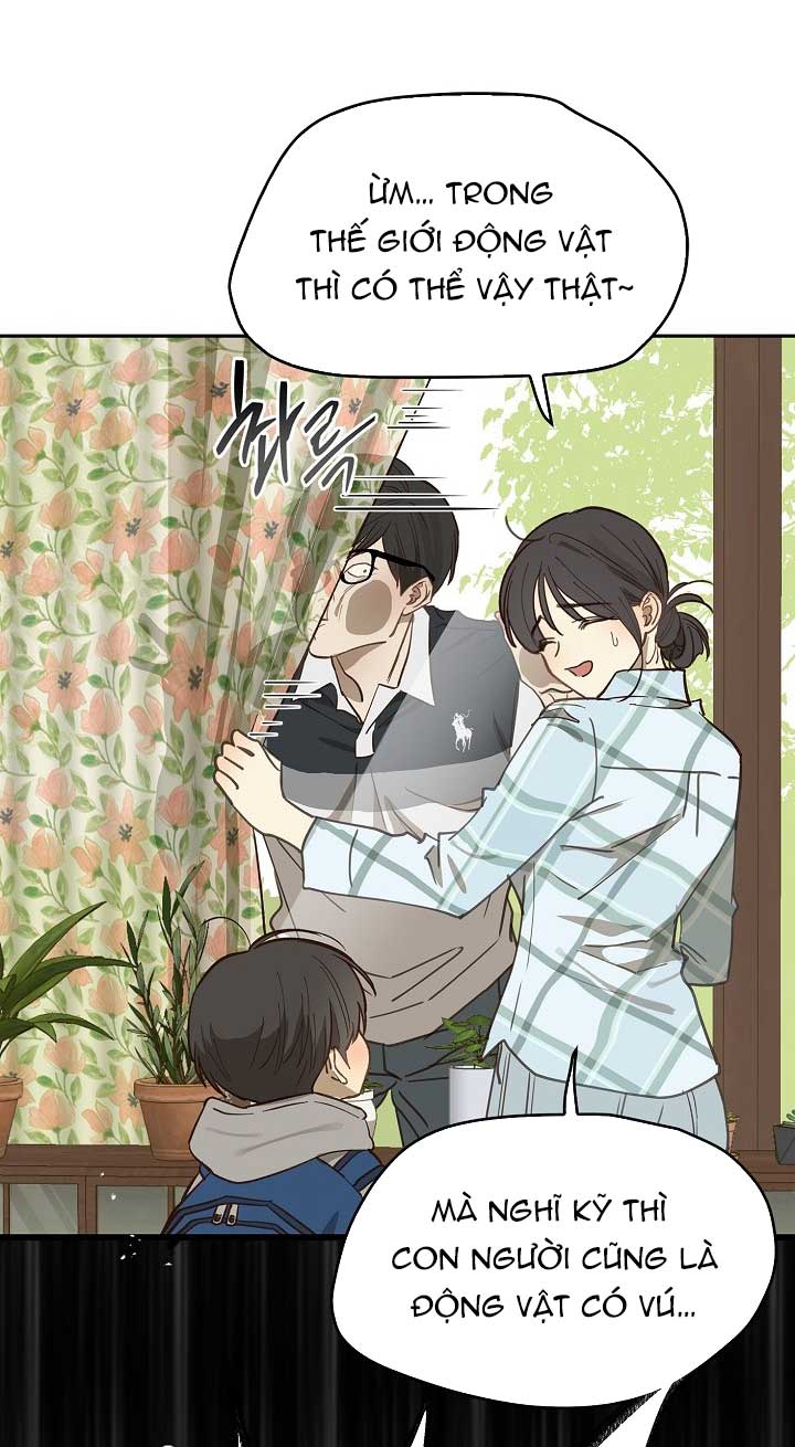 Hoa Là Mồi Nhử - Chap 15 - Trang 36