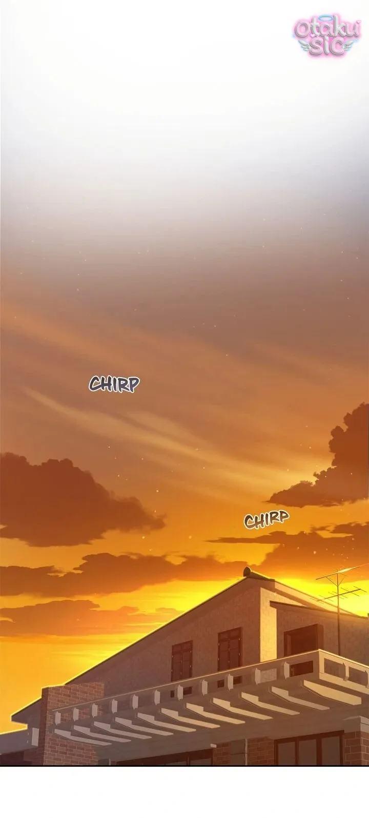 Hoa Là Mồi Nhử - Chap 16 - Trang 17