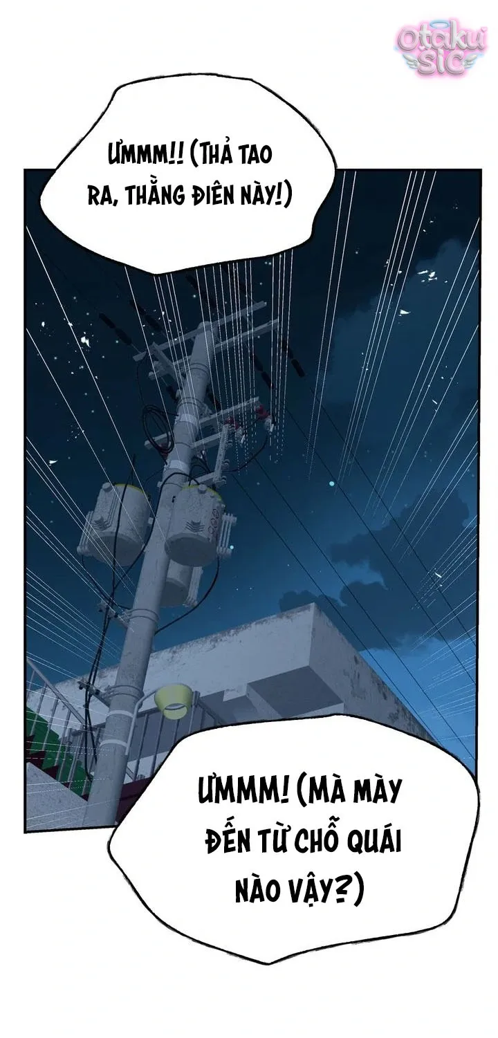 Hoa Là Mồi Nhử - Chap 17 - Trang 38