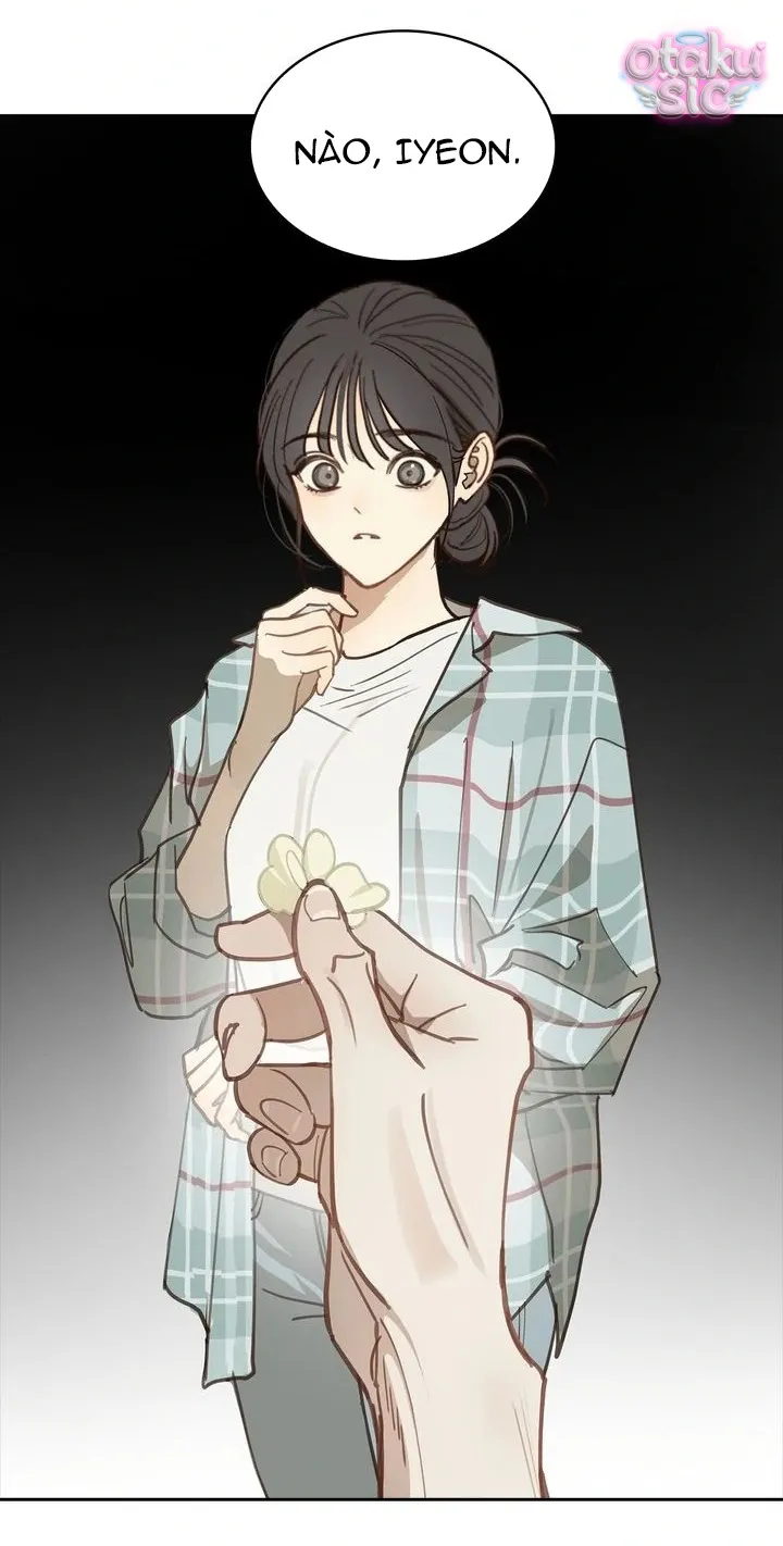 Hoa Là Mồi Nhử - Chap 19 - Trang 2