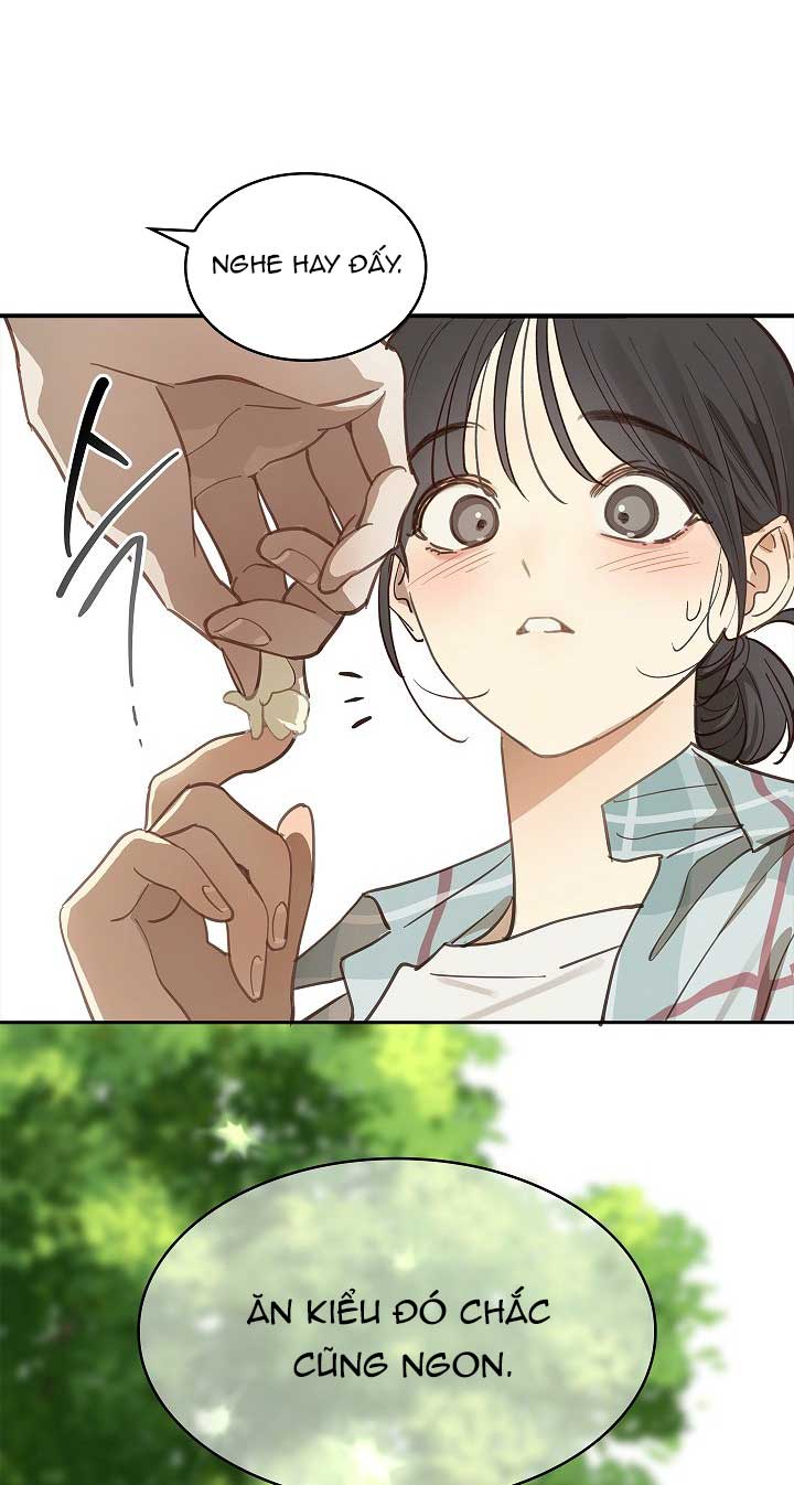 Hoa Là Mồi Nhử - Chap 19 - Trang 11