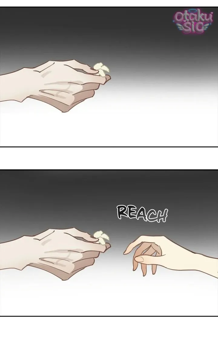 Hoa Là Mồi Nhử - Chap 19 - Trang 5