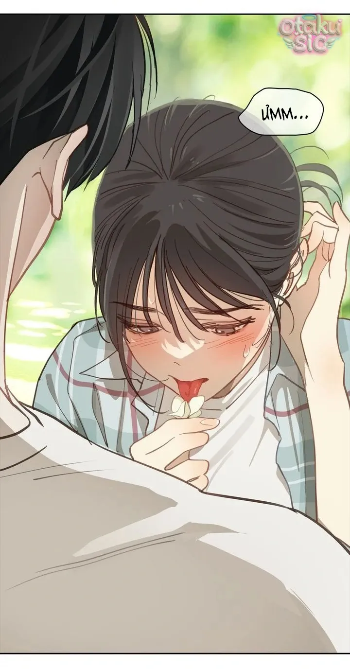 Hoa Là Mồi Nhử - Chap 19 - Trang 10