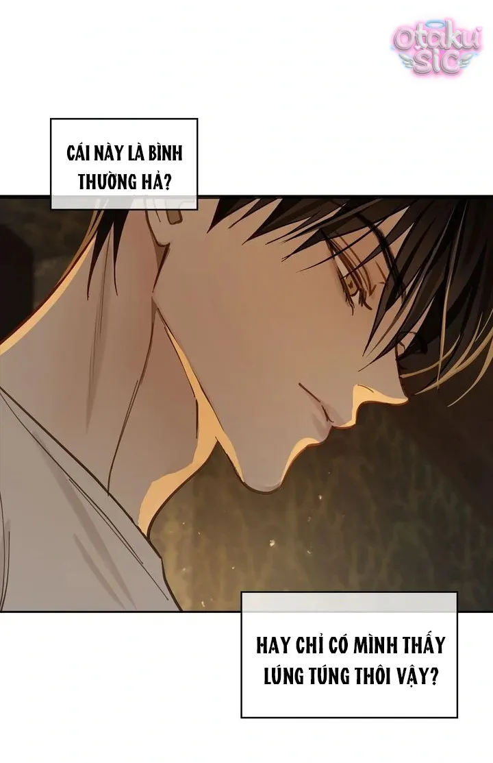 Hoa Là Mồi Nhử - Chap 20 - Trang 42