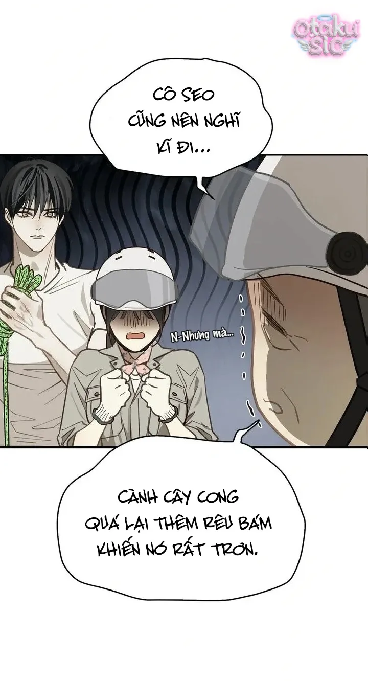 Hoa Là Mồi Nhử - Chap 21 - Trang 19