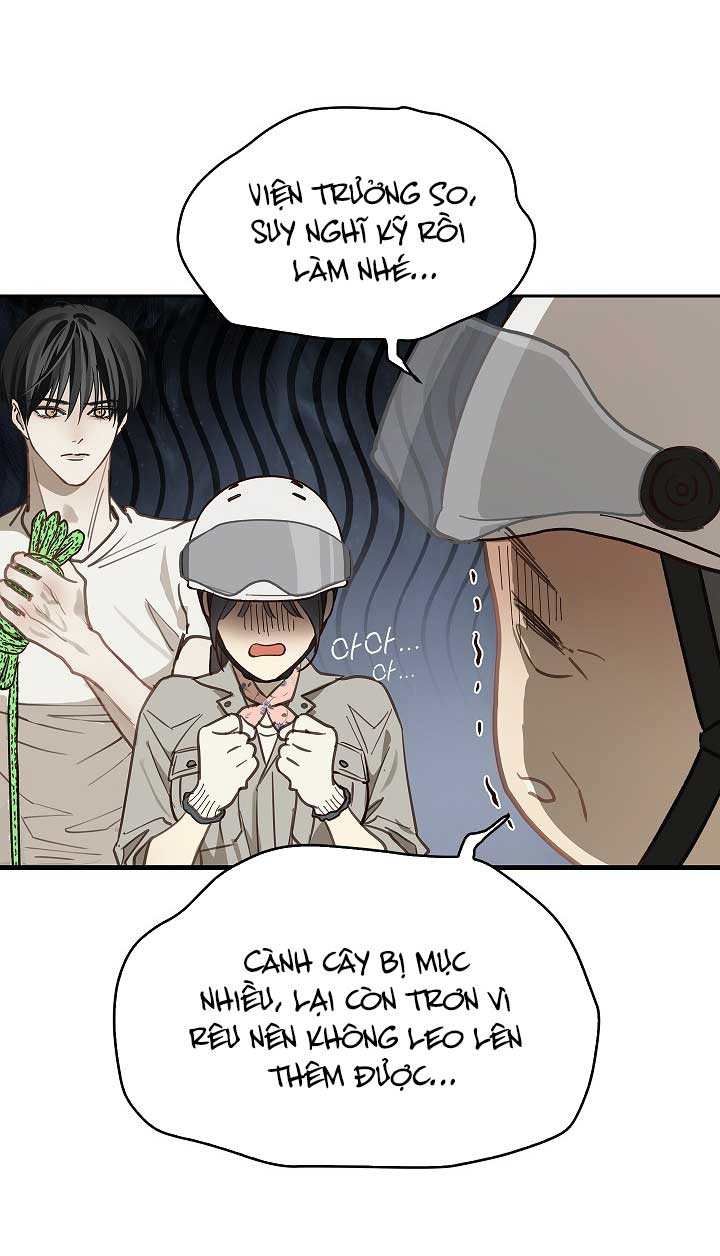 Hoa Là Mồi Nhử - Chap 21 - Trang 20