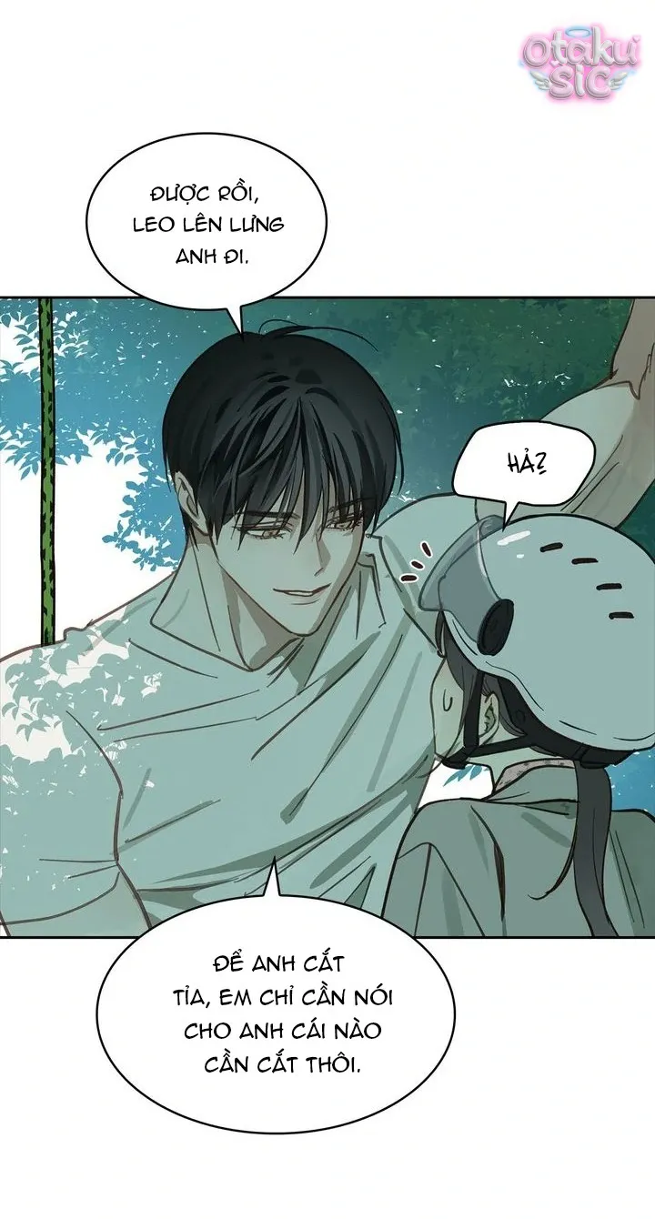 Hoa Là Mồi Nhử - Chap 22 - Trang 16