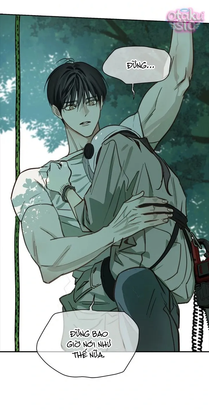 Hoa Là Mồi Nhử - Chap 22 - Trang 20