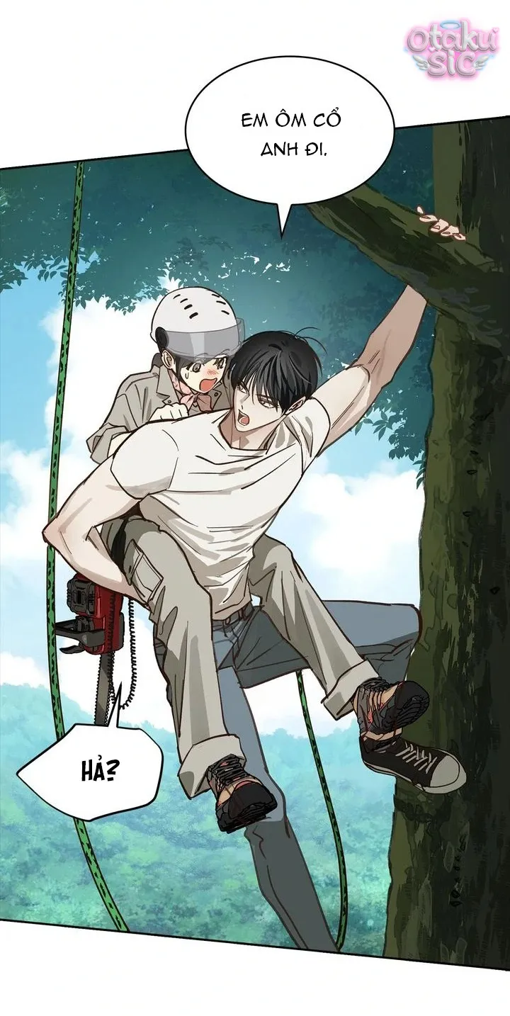 Hoa Là Mồi Nhử - Chap 22 - Trang 30