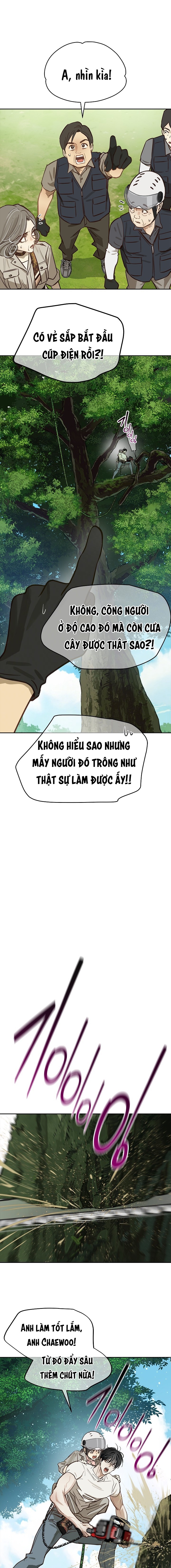 Hoa Là Mồi Nhử - Chap 22 - Trang 10