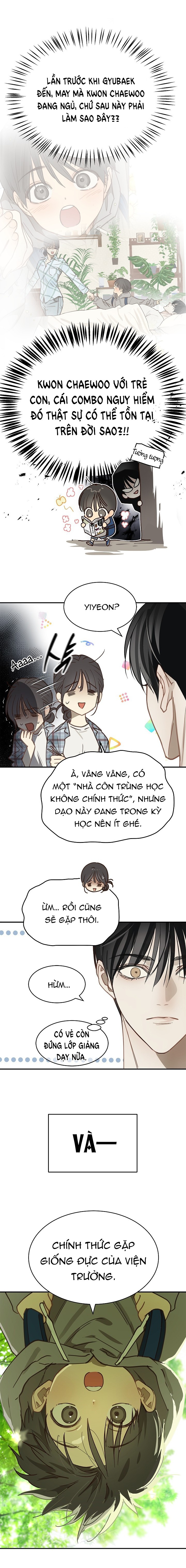 Hoa Là Mồi Nhử - Chap 24 - Trang 15