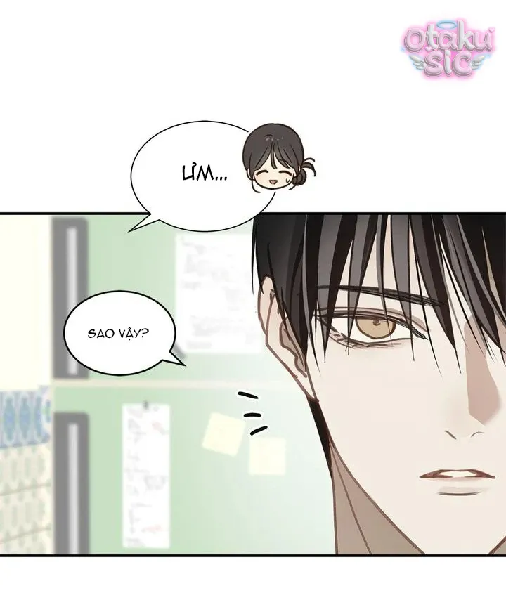 Hoa Là Mồi Nhử - Chap 24 - Trang 33