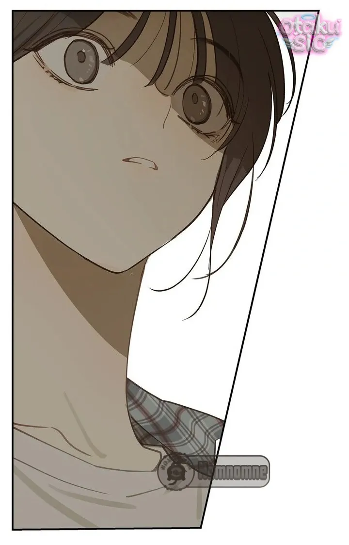 Hoa Là Mồi Nhử - Chap 24 - Trang 40