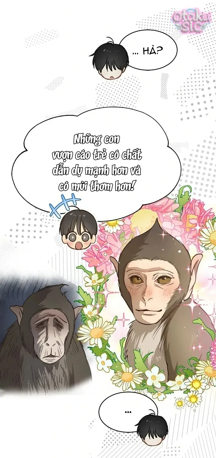 Hoa Là Mồi Nhử - Chap 25 - Trang 15