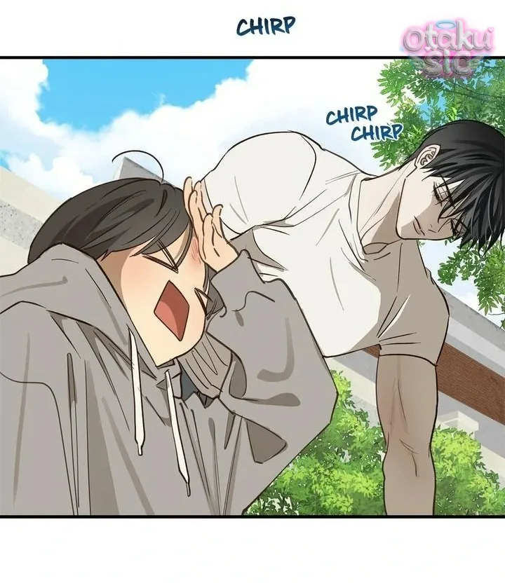 Hoa Là Mồi Nhử - Chap 25 - Trang 18