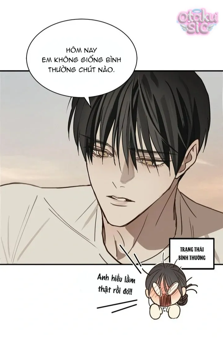 Hoa Là Mồi Nhử - Chap 26 - Trang 39