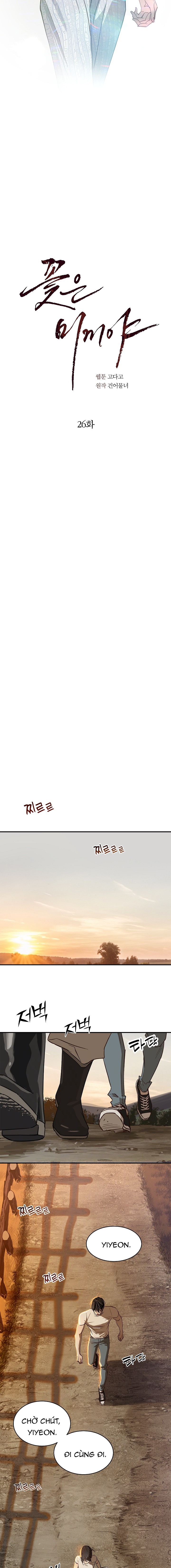 Hoa Là Mồi Nhử - Chap 26 - Trang 7