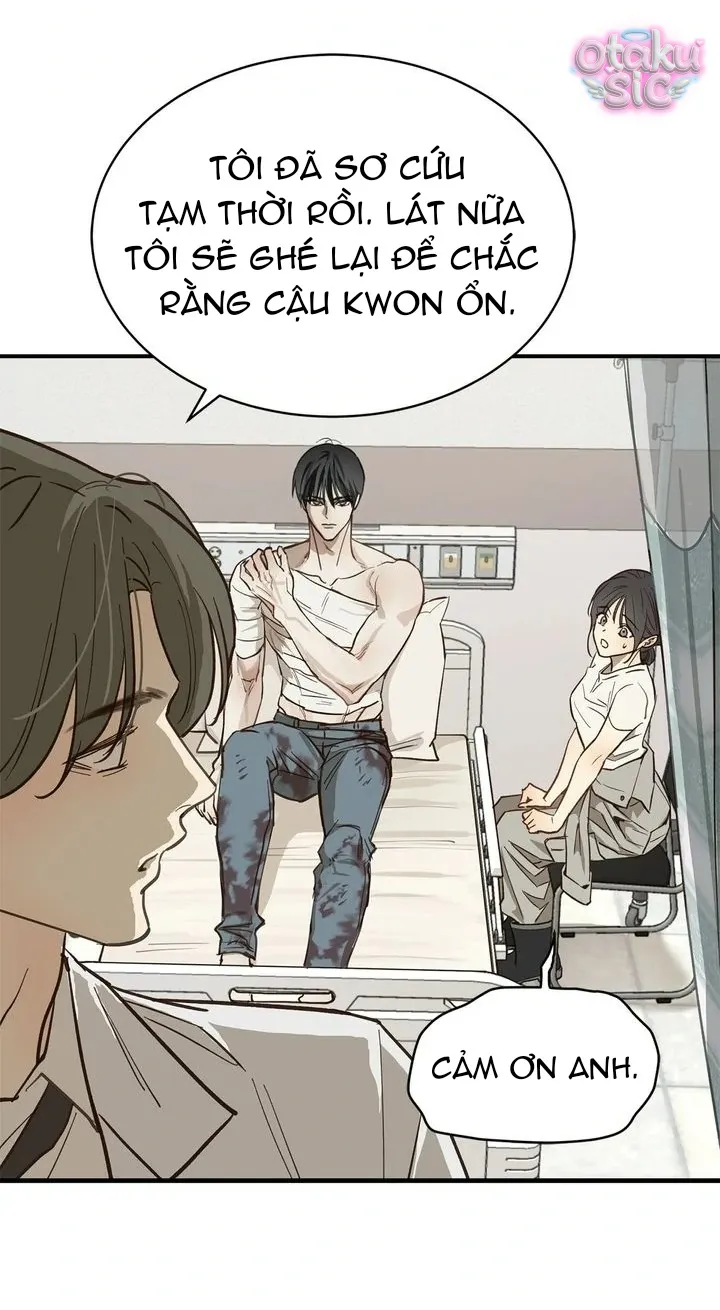 Hoa Là Mồi Nhử - Chap 27 - Trang 51