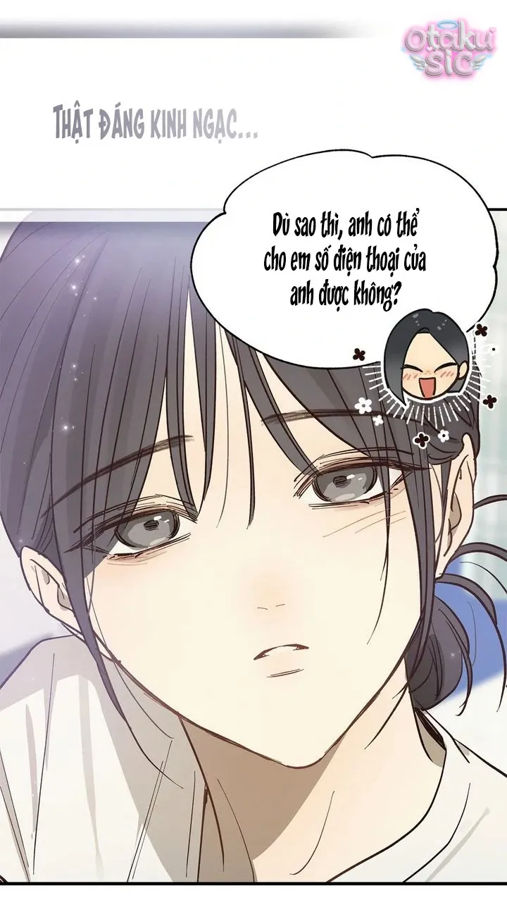 Hoa Là Mồi Nhử - Chap 28 - Trang 33