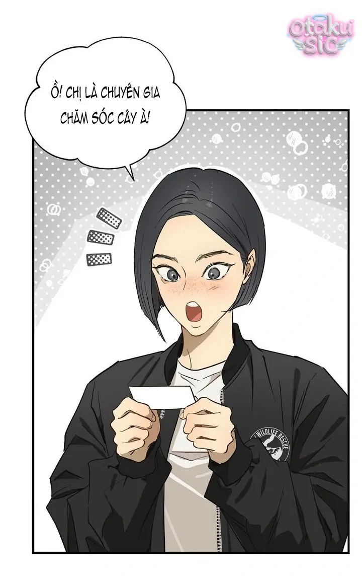 Hoa Là Mồi Nhử - Chap 28 - Trang 51
