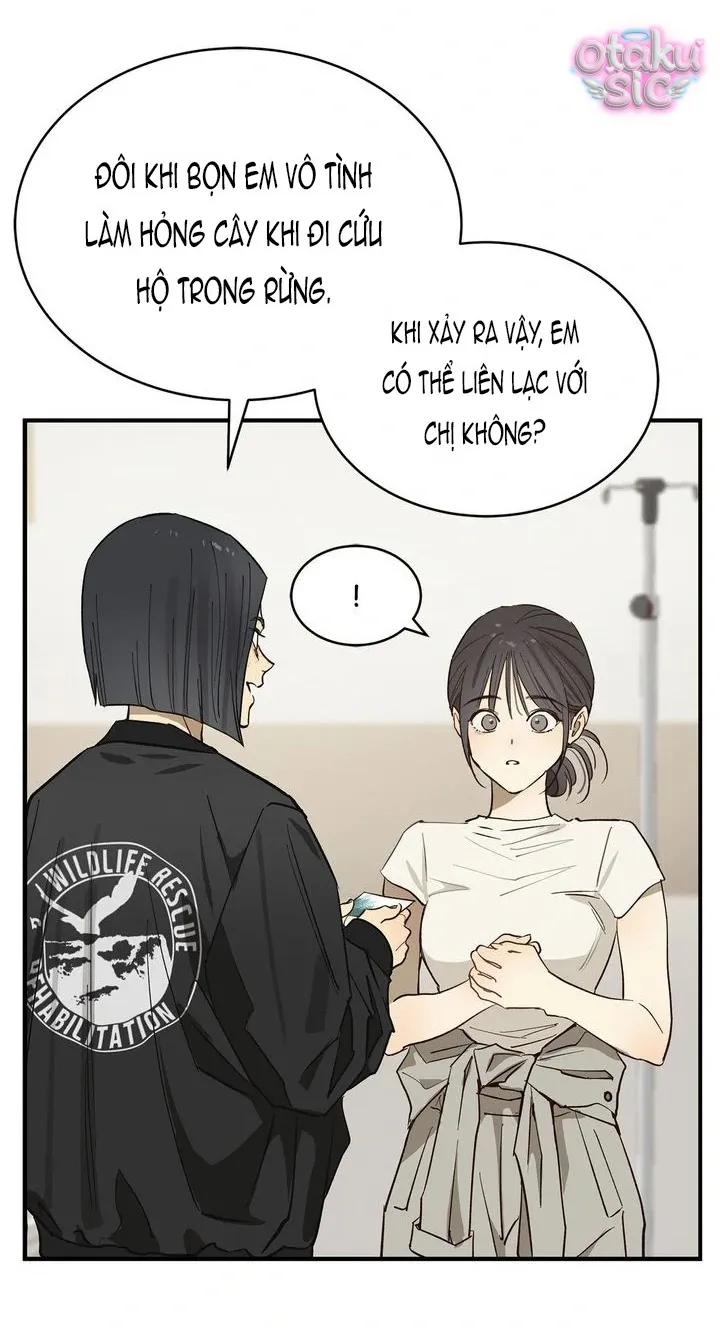 Hoa Là Mồi Nhử - Chap 28 - Trang 52