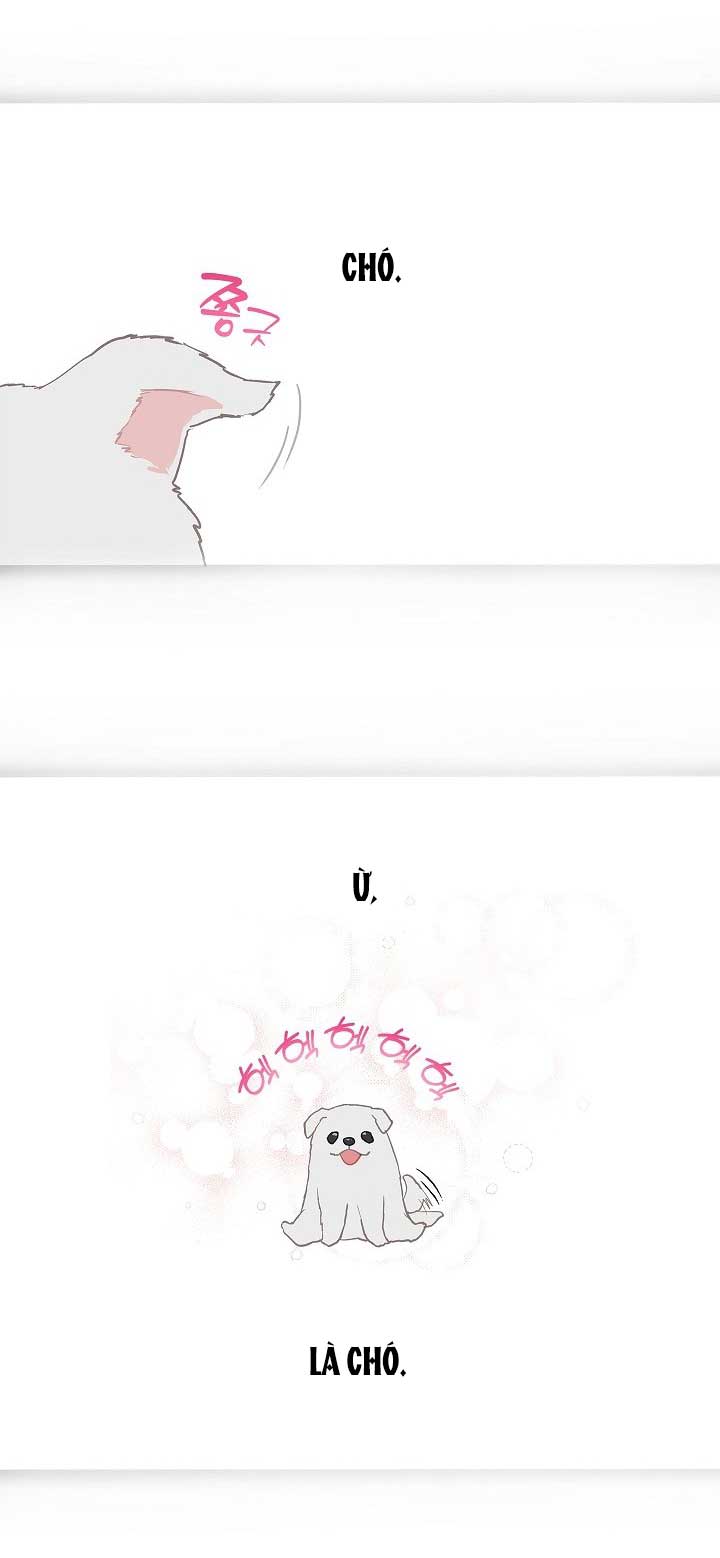 Hoa Là Mồi Nhử - Chap 29 - Trang 15