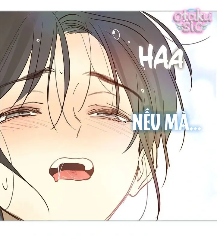 Hoa Là Mồi Nhử - Chap 30 - Trang 41