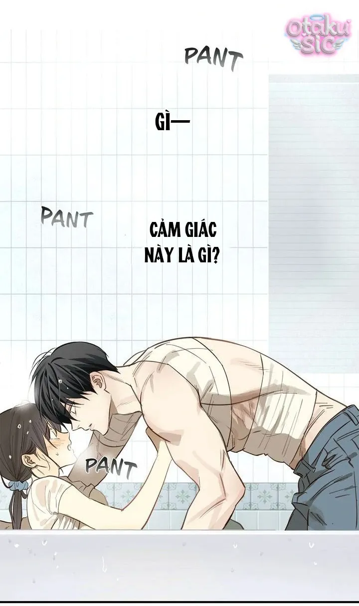 Hoa Là Mồi Nhử - Chap 30 - Trang 44